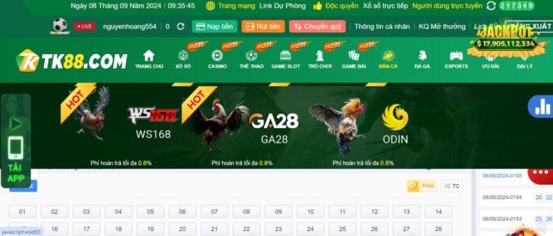 Quản Lý Vốn & Kiểm Soát Rủi Ro Trong Đá Gà Tk88