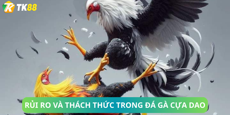 Rủi Ro Và Thách Thức Trong Đá Gà Cựa Dao